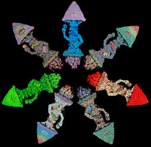 Load image into Gallery viewer, Celestial Tree SET